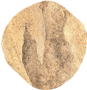 Top Yellow Pebble